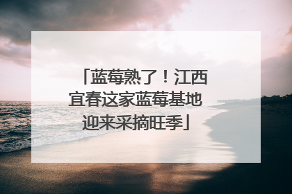 蓝莓熟了！江西宜春这家蓝莓基地迎来采摘旺季