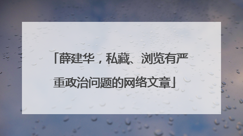 薛建华，私藏、浏览有严重政治问题的网络文章