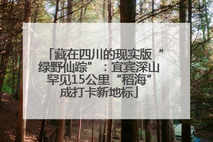 藏在四川的现实版“绿野仙踪”：宜宾深山罕见15公里“稻海”成打卡新地标