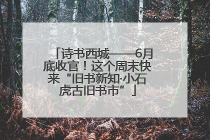 诗书西城——6月底收官！这个周末快来“旧书新知·小石虎古旧书市”