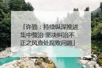 许勤：持续纵深推进集中整治 坚决纠治不正之风查处腐败问题