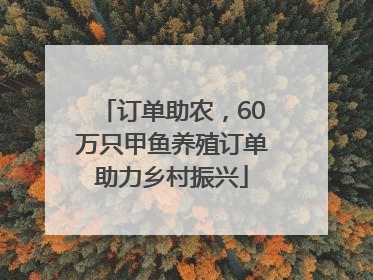 订单助农，60万只甲鱼养殖订单助力乡村振兴