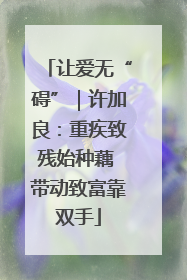 让爱无“碍”｜许加良：重疾致残始种藕 带动致富靠双手