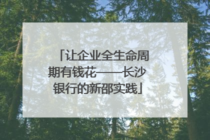 让企业全生命周期有钱花——长沙银行的新邵实践
