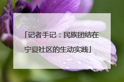记者手记：民族团结在宁夏社区的生动实践