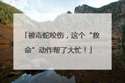 被毒蛇咬伤，这个“救命”动作帮了大忙！