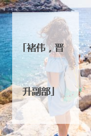褚伟，晋升副部