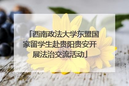 西南政法大学东盟国家留学生赴贵阳贵安开展法治交流活动
