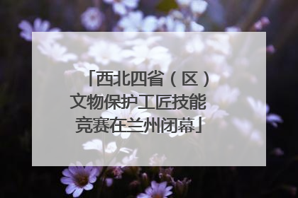 西北四省（区）文物保护工匠技能竞赛在兰州闭幕