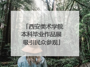 西安美术学院本科毕业作品展吸引民众参观