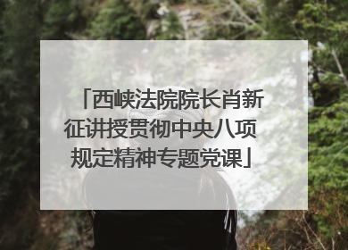 西峡法院院长肖新征讲授贯彻中央八项规定精神专题党课