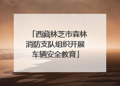 西藏林芝市森林消防支队组织开展车辆安全教育