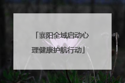 襄阳全域启动心理健康护航行动