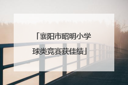 襄阳市昭明小学球类竞赛获佳绩