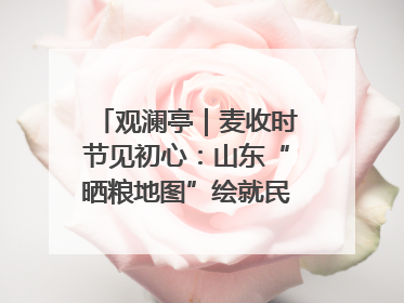观澜亭｜麦收时节见初心：山东“晒粮地图”绘就民生温暖画卷