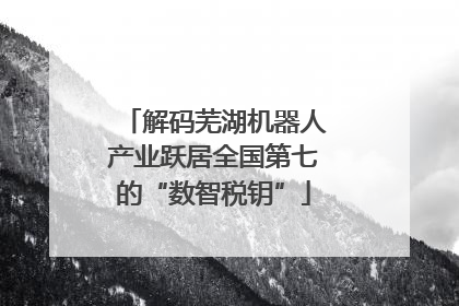 解码芜湖机器人产业跃居全国第七的“数智税钥”