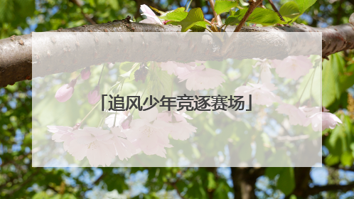 追风少年竞逐赛场