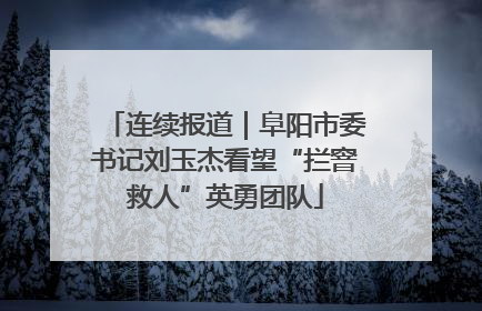 连续报道｜阜阳市委书记刘玉杰看望“拦窨救人”英勇团队