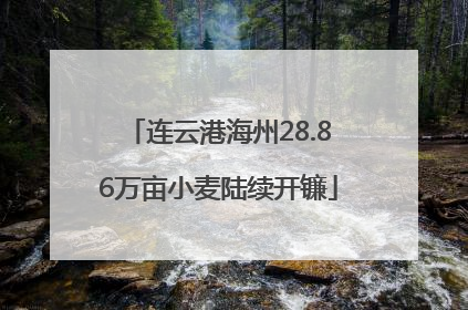 连云港海州28.86万亩小麦陆续开镰