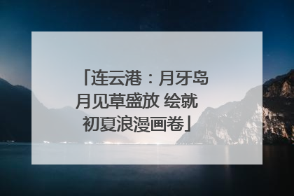 连云港：月牙岛月见草盛放 绘就初夏浪漫画卷