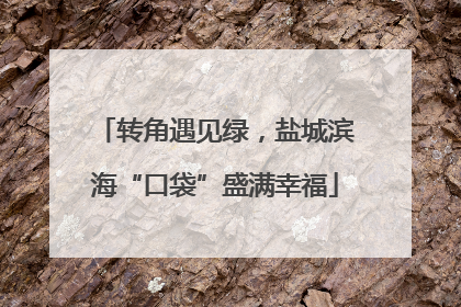 转角遇见绿，盐城滨海“口袋”盛满幸福
