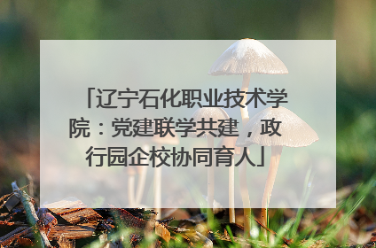 辽宁石化职业技术学院：党建联学共建，政行园企校协同育人