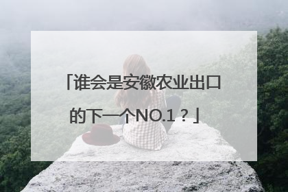 谁会是安徽农业出口的下一个NO.1？