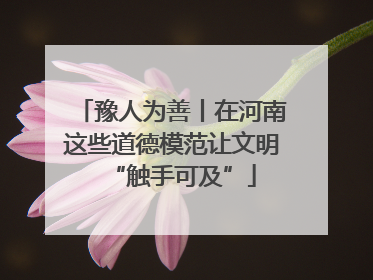 豫人为善丨在河南这些道德模范让文明“触手可及”