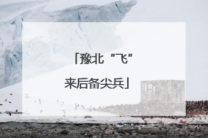 豫北“飞”来后备尖兵