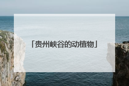 贵州峡谷的动植物