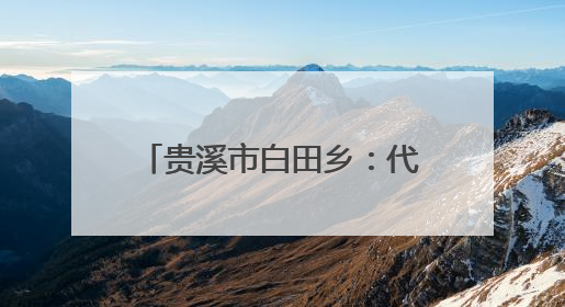 贵溪市白田乡：代表织密安全网，守牢假期安全关（图）