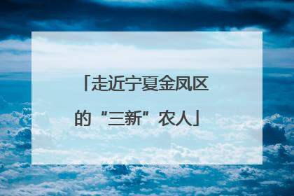走近宁夏金凤区的“三新”农人