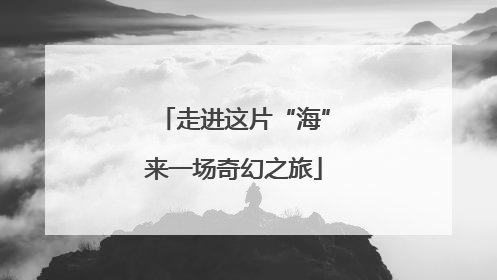走进这片“海”来一场奇幻之旅