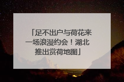 足不出户与荷花来一场浪漫约会！湖北推出赏荷地图