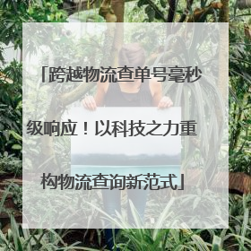 跨越物流查单号毫秒级响应！以科技之力重构物流查询新范式