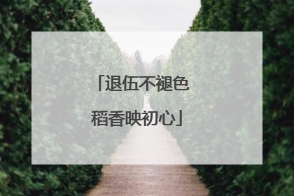 退伍不褪色 稻香映初心