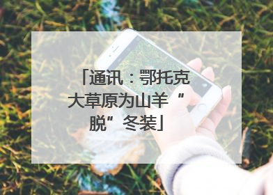 通讯：鄂托克大草原为山羊“脱”冬装