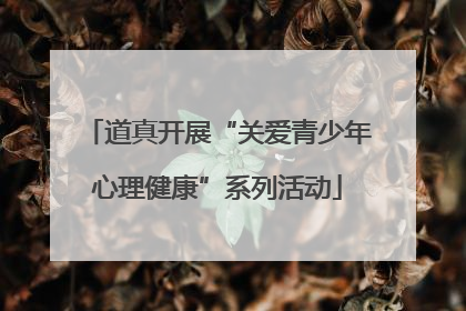 道真开展“关爱青少年心理健康”系列活动