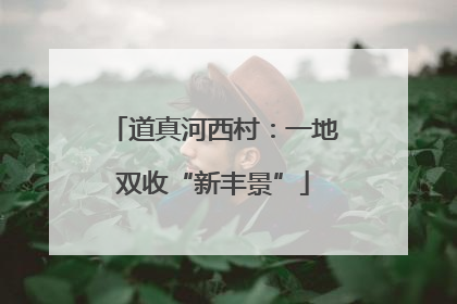道真河西村：一地双收“新丰景”