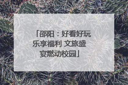 邵阳：好看好玩乐享福利 文旅盛宴燃动校园