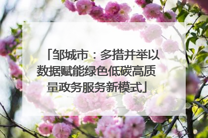 邹城市：多措并举以数据赋能绿色低碳高质量政务服务新模式