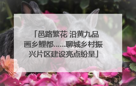 邑路繁花 沿黄九品 画乡鲤都……聊城乡村振兴片区建设亮点纷呈