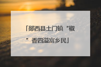 郧西县土门镇“椒”香四溢富乡民