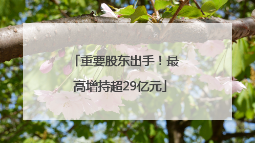 重要股东出手！最高增持超29亿元