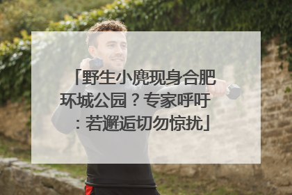野生小麂现身合肥环城公园？专家呼吁：若邂逅切勿惊扰