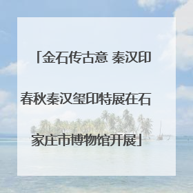 金石传古意 秦汉印春秋秦汉玺印特展在石家庄市博物馆开展