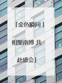 金色瞬间丨相聚南博 共赴盛会