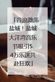 音浪激荡盐城！盐城大洋湾音乐节吸引5.4万乐迷共赴狂欢