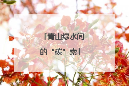 青山绿水间的“碳”索