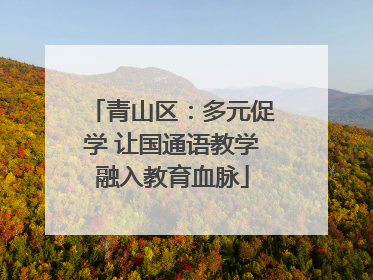 青山区：多元促学 让国通语教学融入教育血脉